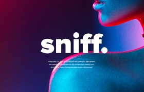 网站设计之Sniff设计方案